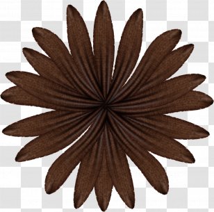 Flower Bouquet Floral Design - Common Daisy - Brown Transparent PNG