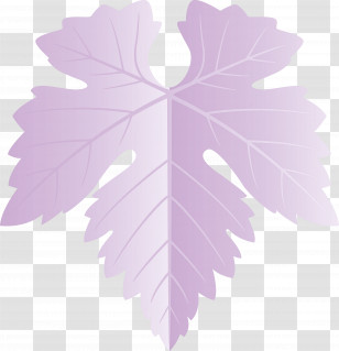 Grapes Leaf Leaf Transparent PNG