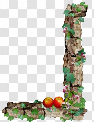 Holly - Ivy Transparent PNG