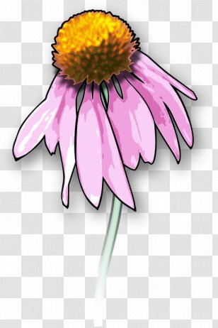 Clip Art Drawing Death Openclipart Graphics - Gerbera - Black Eyed Susan Transparent PNG