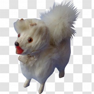 German Spitz Klein Pomeranian Volpino Puppy - Dog Like Mammal Transparent PNG
