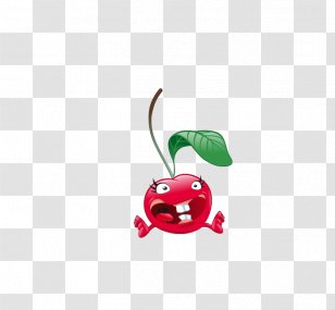 Fruit Salad Drawing Kiwifruit - Plant - Cherry Transparent PNG