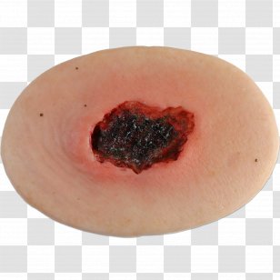 Mouth Lip - Flower - Wounds Transparent PNG