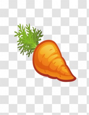 Berry Carrot Vegetable Fruit Coloring Book - Soup - Fresh Carrots Transparent PNG