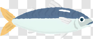 Icon - Cartoon Illustration Of A Fish Transparent PNG