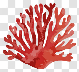 Cartoon - Red Coral Marine Illustration Transparent PNG