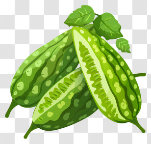 Bitter Melon - Fresh Green Bitter Melon Illustration Transparent PNG