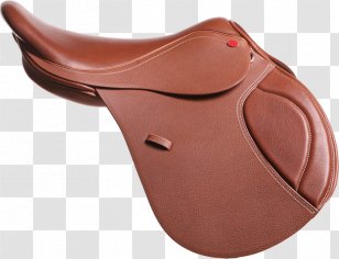 English Saddle Horse Equestrian Show Jumping - Tack Transparent PNG