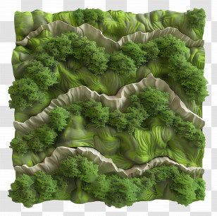 Wall Moss - Green Forest Landscape Transparent PNG