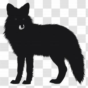 Arctic Fox Silhouette - Silhouette Of A Wolf In Shadow Style Transparent PNG