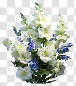 Delphinium Flower Arrangement - Bouquet Of White And Blue Flowers Transparent PNG