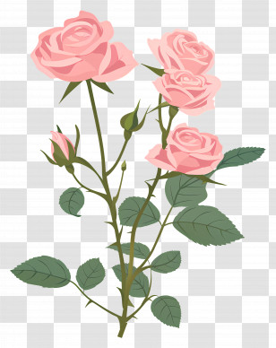 Rose Flower - Pink Roses With Buds And Green Leaves Transparent PNG