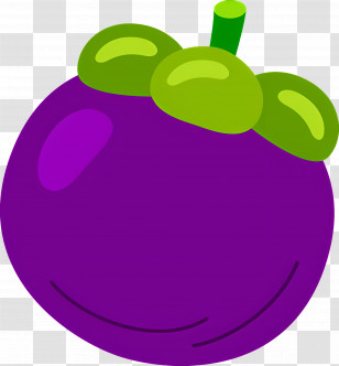 Mangosteen - Purple Tropical Fruit Transparent PNG