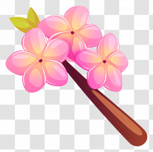 Plumeria Flower - Pink Tropical Flowers Illustration Transparent PNG