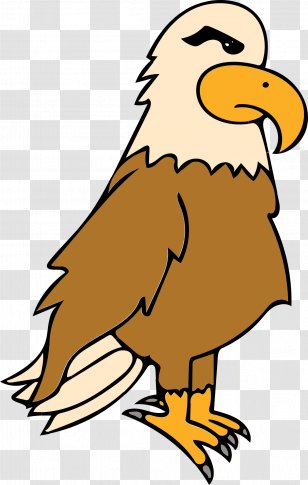 Bald Eagle - Silhouette Transparent PNG