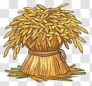 Wheat Bundle - Wheat Bundle For Harvest Season Transparent PNG