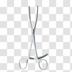 Stethoscope - White - Design Transparent PNG