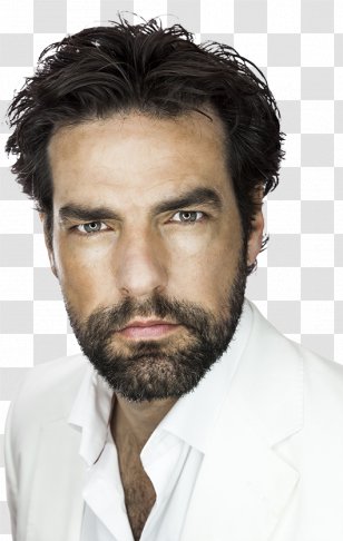 Beard Stock Photography Hairstyle - Hairdresser Transparent PNG