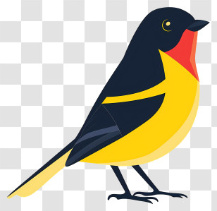 Cartoon Bird - Colorful Cartoon Bird Illustration With Red And Yellow Feathers Transparent PNG