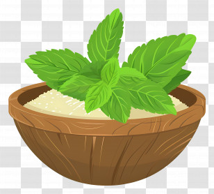 Stevia Leaf - Bowl With Fresh Mint Leaves For Culinary Use Transparent PNG
