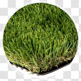 artificial turf lawn hybrid grass carpet grassland natural environment transparent png artificial turf lawn hybrid grass