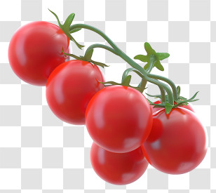 Cherry Tomatoes - Red Cherry Tomatoes On A Vine Transparent PNG