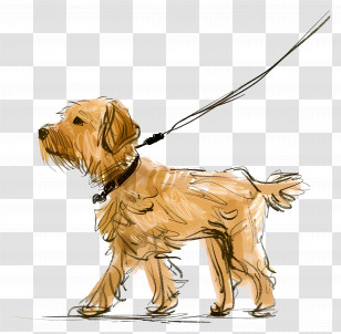 Dog - Sketch Of A Dog On A Leash Transparent PNG
