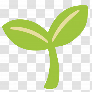 Seedling Emoji - Green Sprout Plant Transparent PNG