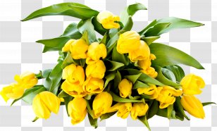 Desktop Wallpaper Yellow Tulip Color Transparent PNG
