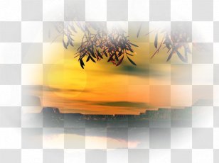 Landscape Painting - Pinnwand - Sunlight Transparent PNG