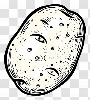 Potato - Sketch Of A Potato Transparent PNG