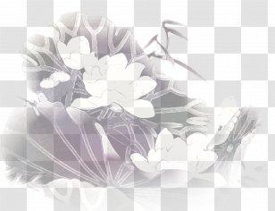Black And White Nelumbo Nucifera Drawing - Flower - Description Lotus Transparent PNG