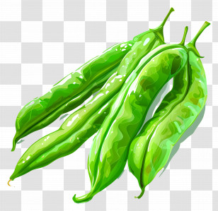 Green Beans - Fresh Green Pea Pods Illustration Transparent PNG