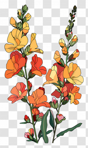 Snapdragons - Colorful Flower Stems Transparent PNG