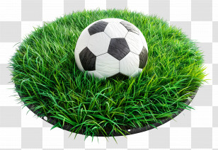 Soccer Ball - Soccer Ball On Grass Transparent PNG