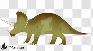 Triceratops Dinosaur Postosuchus Drawing Battalion Snout Transparent Png - kaprosuchus triceratops dinosaur roblox battalion dinosaur