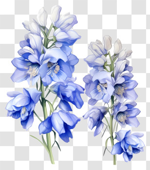 Doodle Delphinium Flower - Beautiful Blue Flowers In Botanical Detail Transparent PNG