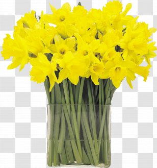 I Wandered Lonely As A Cloud Flower Narcissus Pseudonarcissus Hyacinth Tulip - Yellow - Mother's Day Transparent PNG