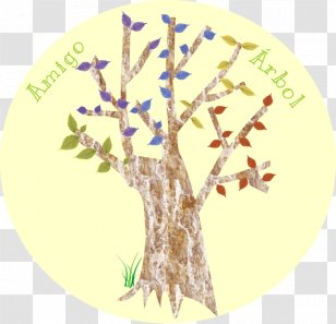 Twig Tree Garden Project Buxus Sempervirens - Organism Transparent PNG