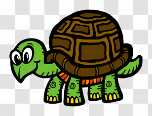 Cartoon Turtle - Green Cartoon Turtle With Hard Patterned Shell Transparent PNG