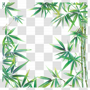 Bamboo - Green Bamboo Frame Transparent PNG