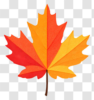 Autumn Maple Leaf - Colorful Maple Leaf Illustration Transparent PNG