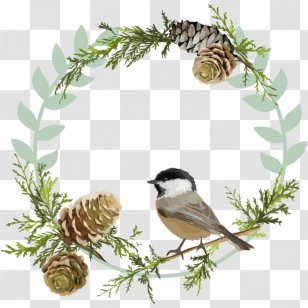 Bird Christmas Clip Art - Chickadee Transparent PNG