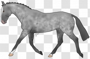 Stallion Warmblood Pony Mane Mustang - Pack Animal Transparent PNG