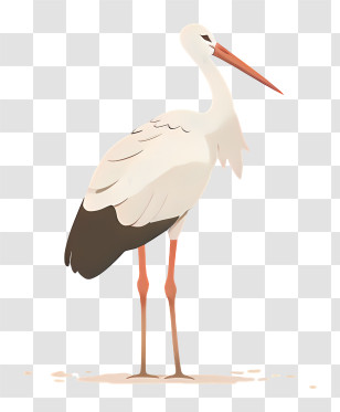 White Stork - Detailed White Stork Artistic Illustration Transparent PNG