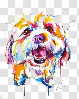 Dog Breed Watercolor Painting Border Collie Shih Tzu - Snout Transparent PNG