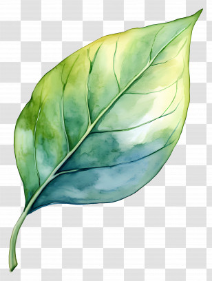 Watercolor Leaf - Watercolor Green Leaf Botanical Illustration Transparent PNG