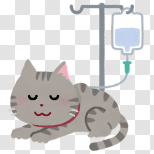 Health - Gray Cat With IV Drip Transparent PNG