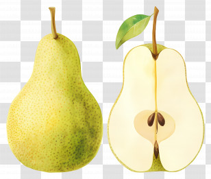 Watercolor Pear Fruit - Whole And Sliced Pear Illustration Transparent PNG