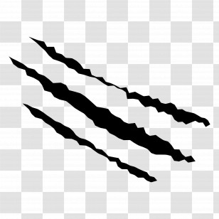 Scratch - Claw Mark Illustration Transparent PNG